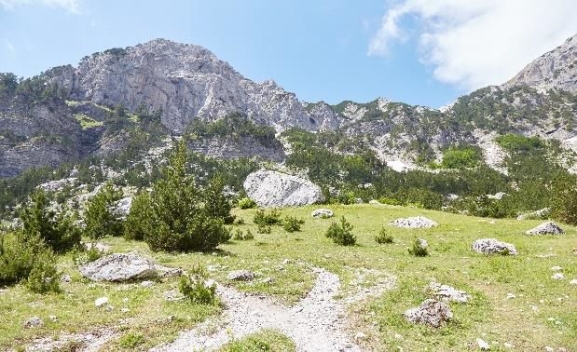 Trekings Tetas nacionālajā parkā